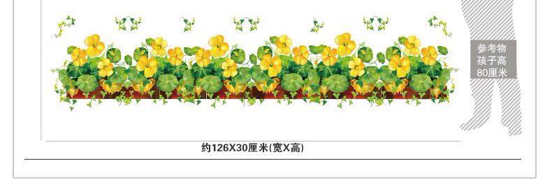 Chân tường cỏ may mắn